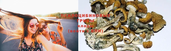 индика Нея