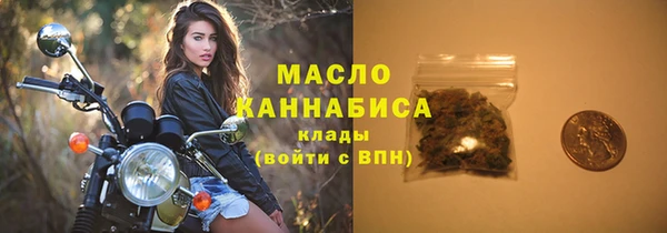 индика Нея