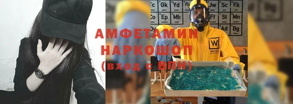 индика Нея