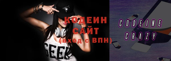индика Нея