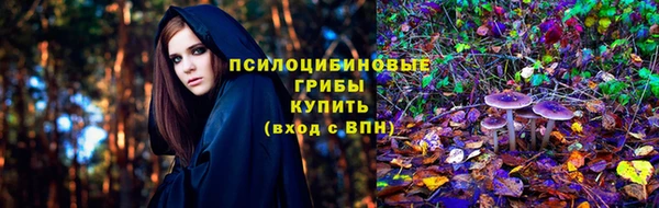 индика Нея