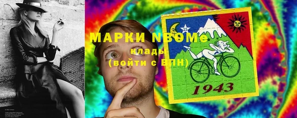 индика Нея