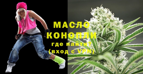 индика Нея