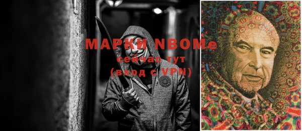 индика Нея