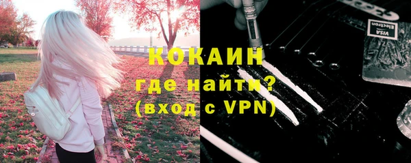 индика Нея