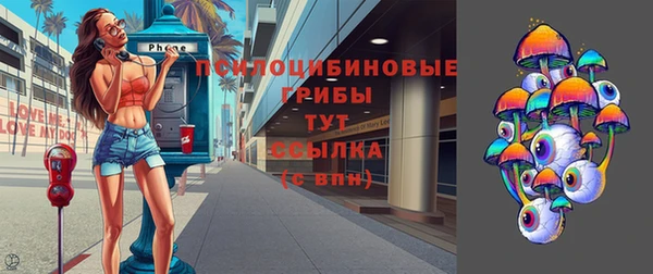 индика Нея