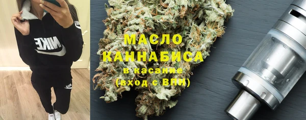 индика Нея