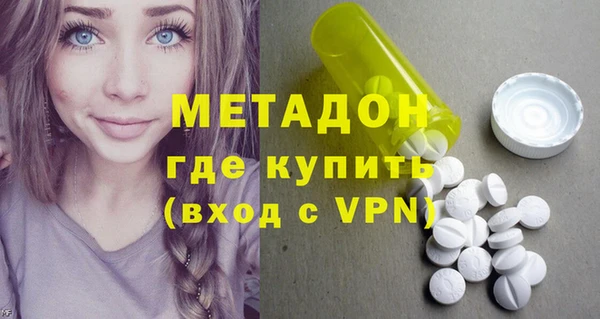 индика Нея