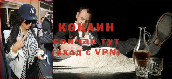индика Нея