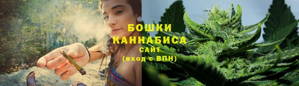 индика Нея