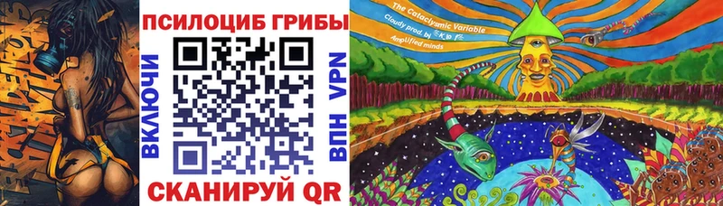 Галлюциногенные грибы Psilocybe  ссылка на мегу ONION  Питкяранта 